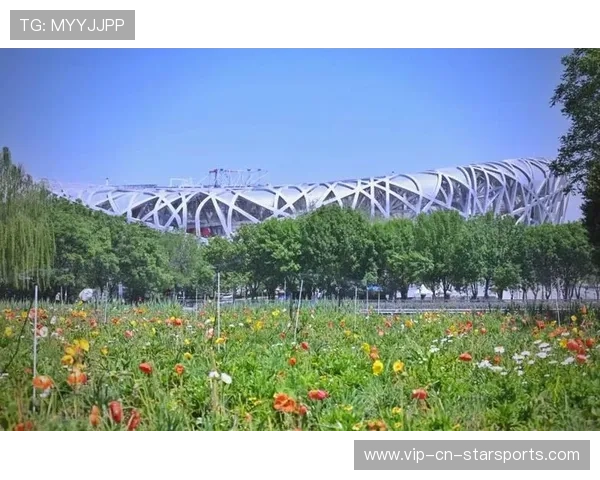 体育馆转型社区康养中心:北京多个老旧场馆焕发新活力。,体育馆改造 体育馆转型社区康养中心:北京多个老旧场馆焕发新活力。,体育馆改造